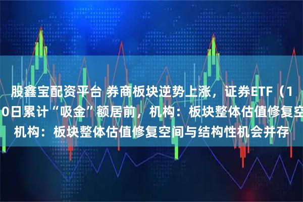 股鑫宝配资平台 券商板块逆势上涨，证券ETF（159841）近5日、近10日累计“吸金”额居前，机构：板块整体估值修复空间与结构性机会并存