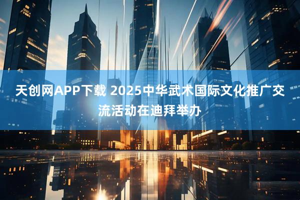 天创网APP下载 2025中华武术国际文化推广交流活动在迪拜举办
