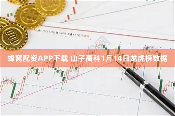 蜂窝配资APP下载 山子高科1月14日龙虎榜数据