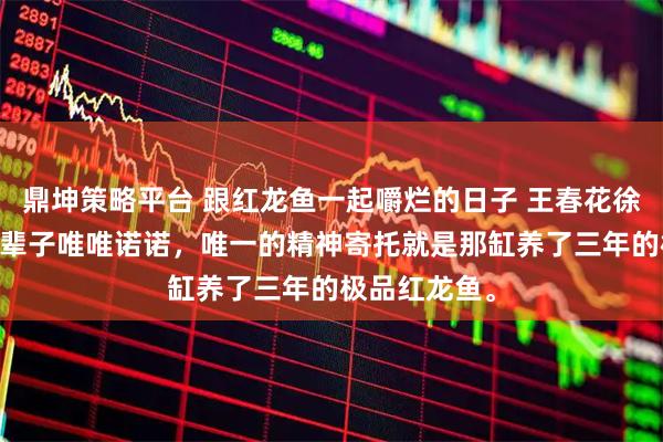 鼎坤策略平台 跟红龙鱼一起嚼烂的日子 王春花徐卫国 老爸这辈子唯唯诺诺，唯一的精神寄托就是那缸养了三年的极品红龙鱼。