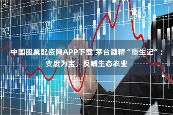 中国股票配资网APP下载 茅台酒糟“重生记”：变废为宝，反哺生态农业